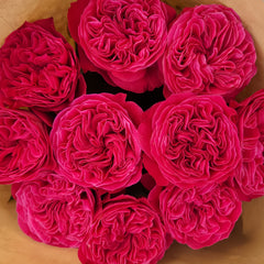 Pink'N Pretty Rose