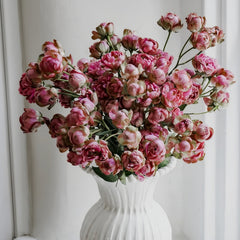Princess Pinku Rose