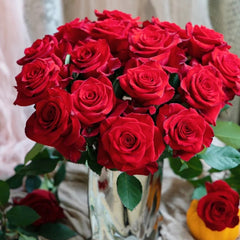 Red Feather Rose
