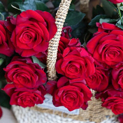 Red Feather Rose