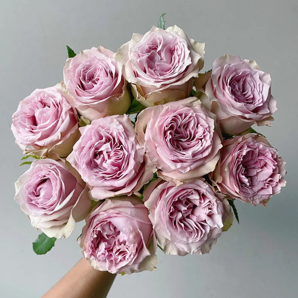 Retro Love Rose