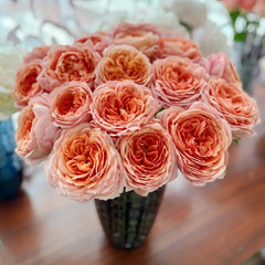 Romantic Antike Rose