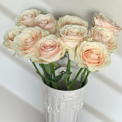 Roxanne+ Rose