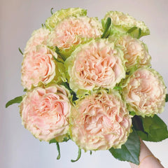 Shangguan Wan Er Rose