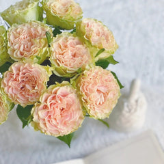 Shangguan Wan Er Rose