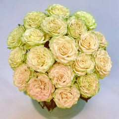 Shangguan Wan Er Rose