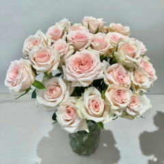 Star Moon Baby Rose