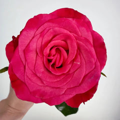 Strawberry Jam Rose
