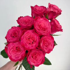 Strawberry Jam Rose