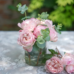 Sucre Rose