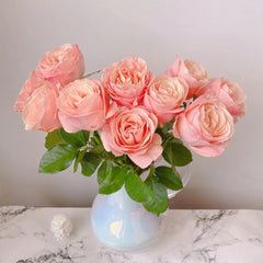 Summer Love Rose