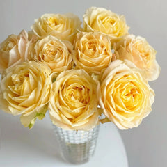 Summer Sunshine Rose