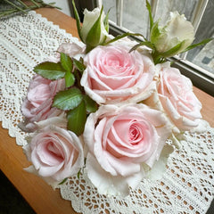 Sweet Revival Rose