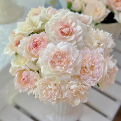 The Scientist Rose