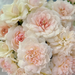 The Scientist Rose