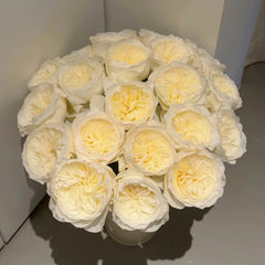 Trafalgar! Rose