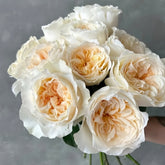 Vicky Garden Rose