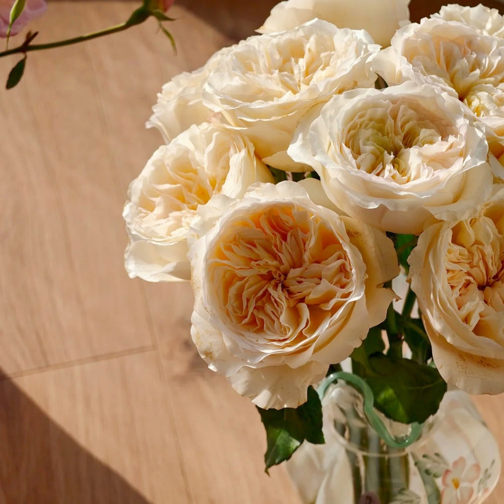 Vicky Garden Rose