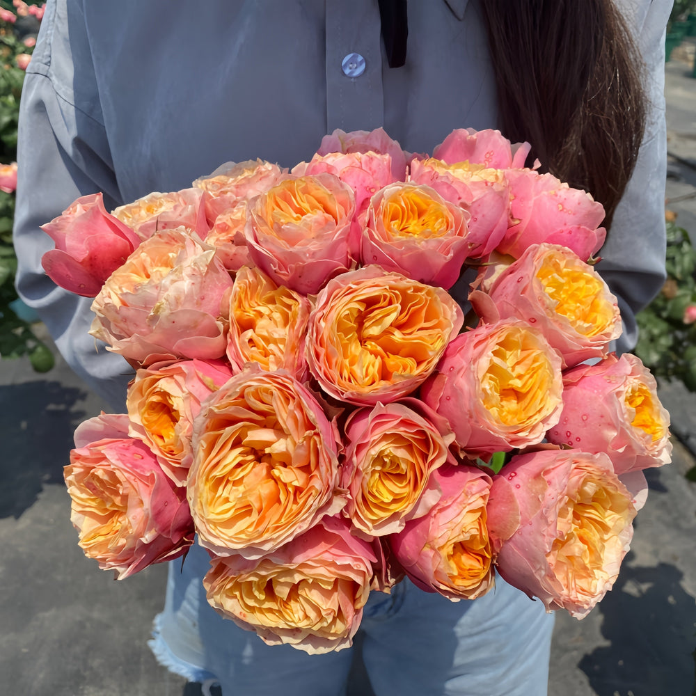 Vuvuzela Rose