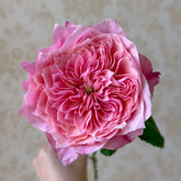Wei Zifu Rose