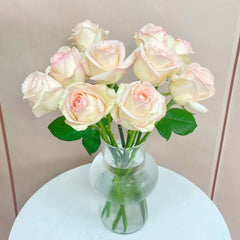 Jade Dew White Peach Rose