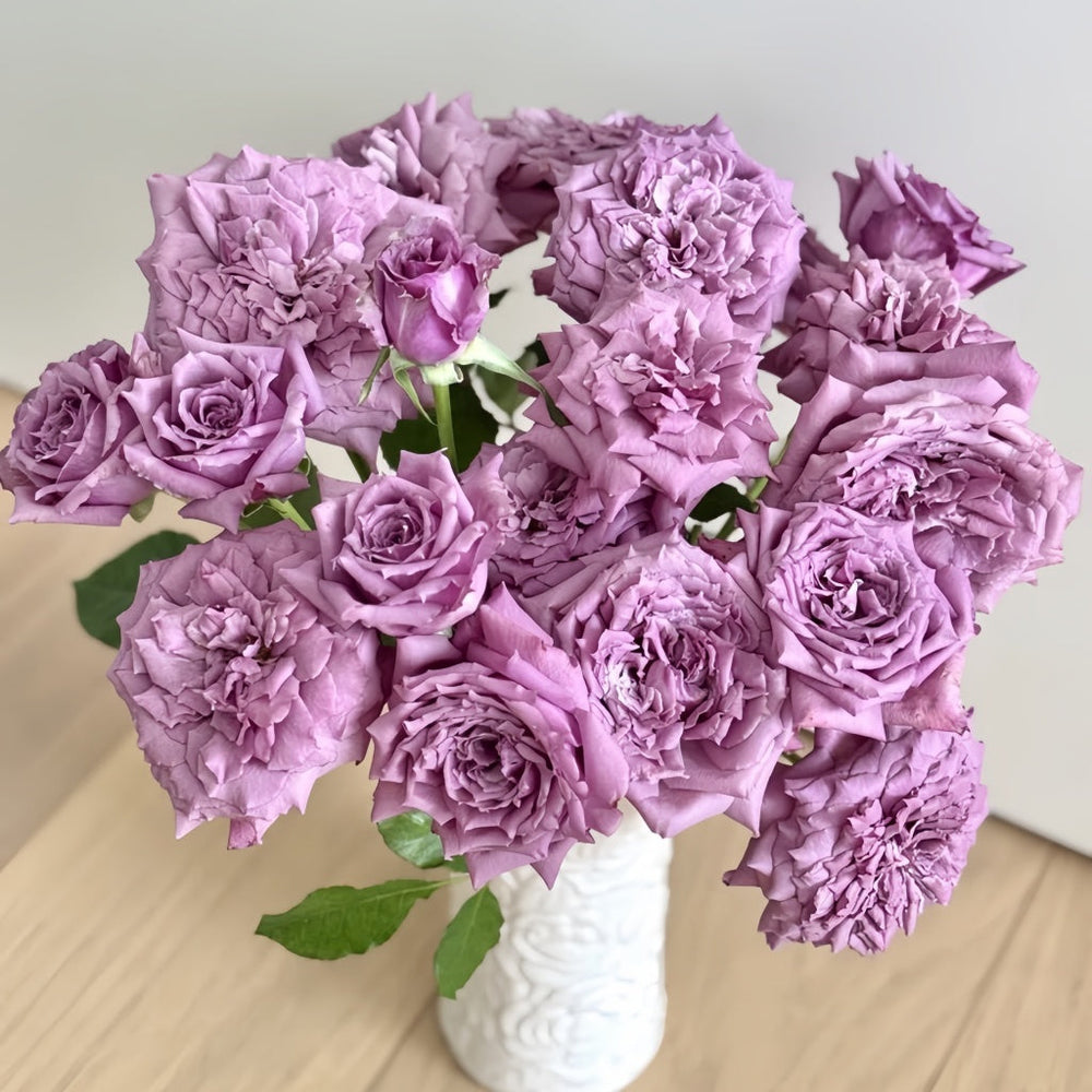 Windy Night Rose