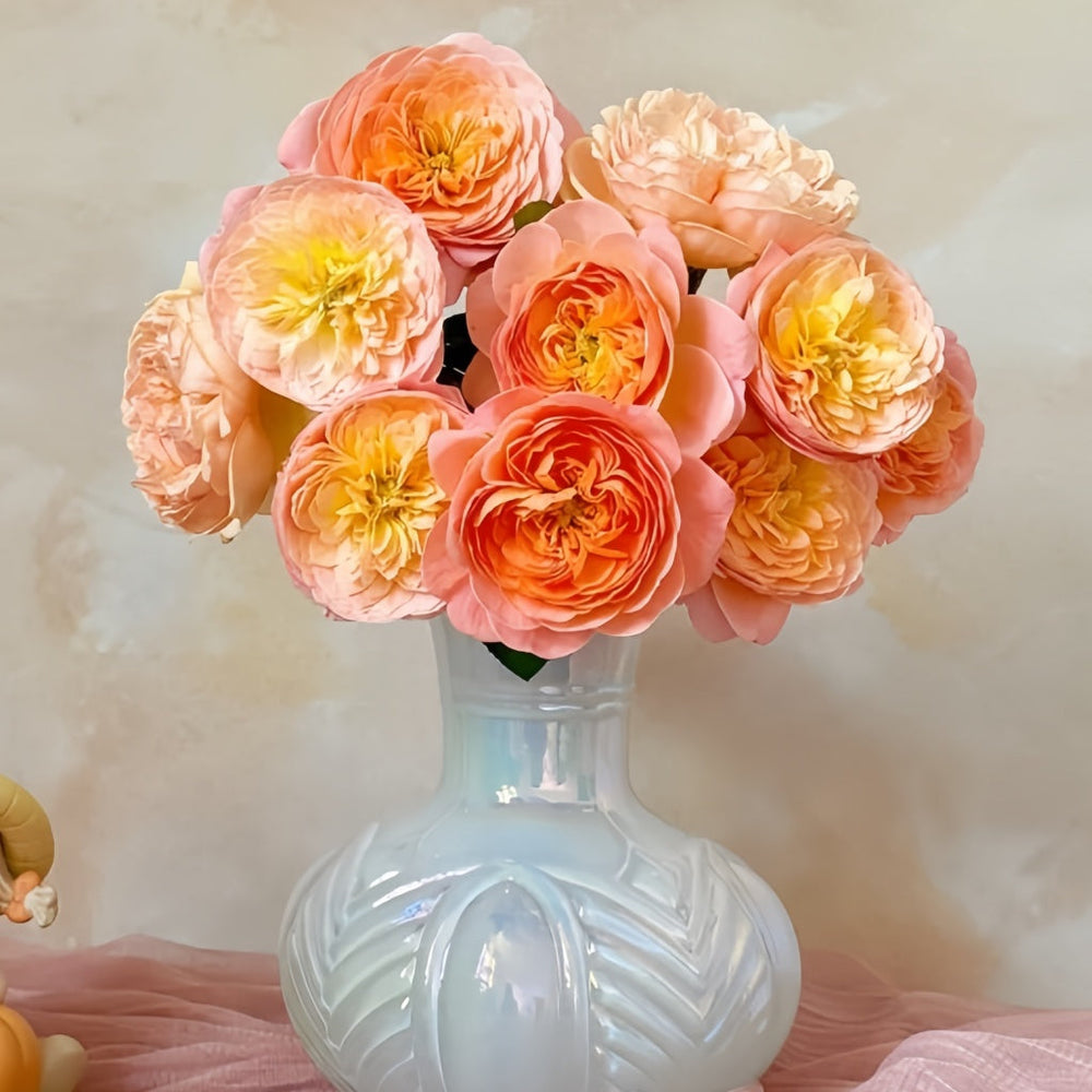 Wutongyue Rose