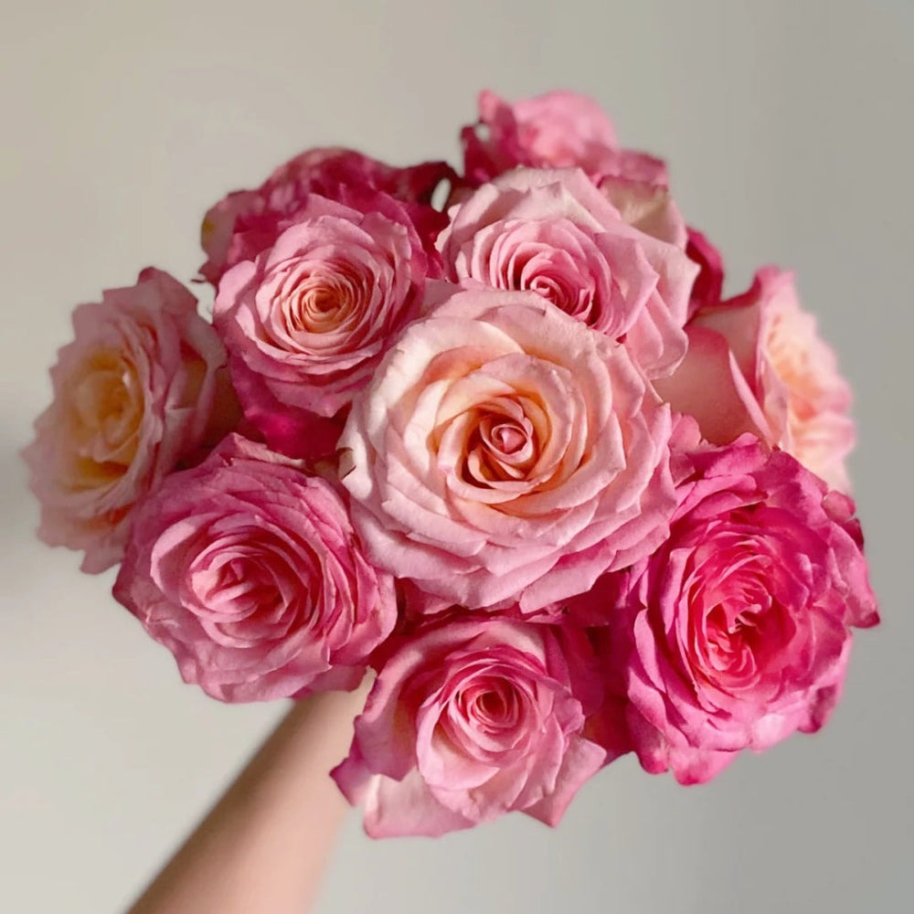 Xiaoxiang Rose