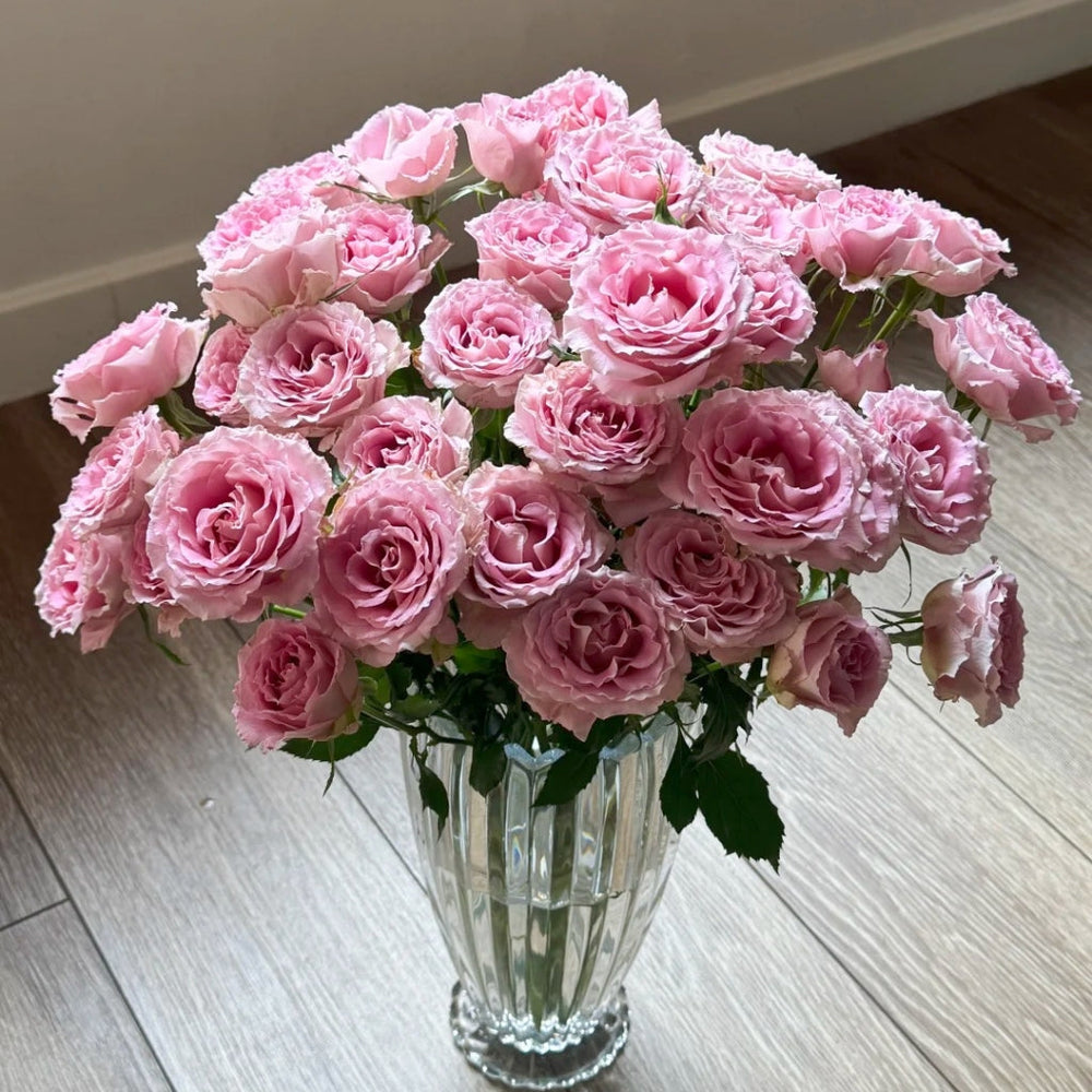 Xiyao Rose