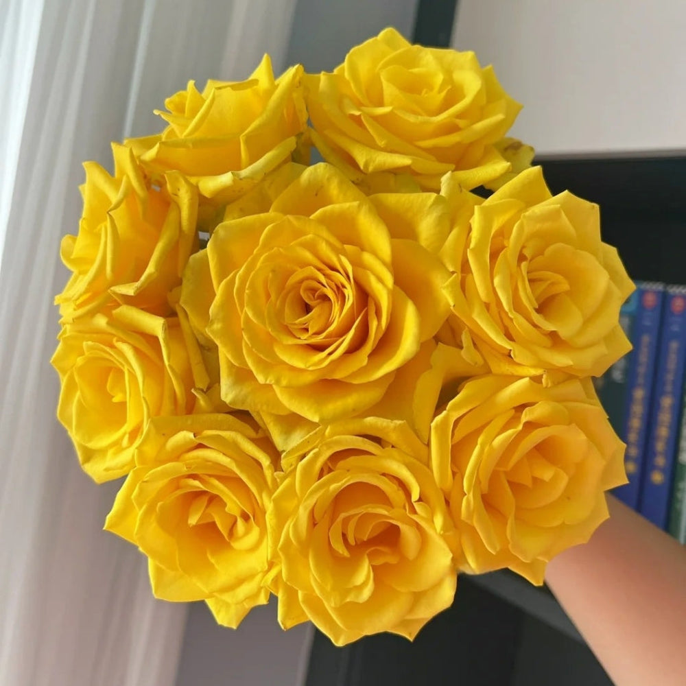 Zaoan Rose