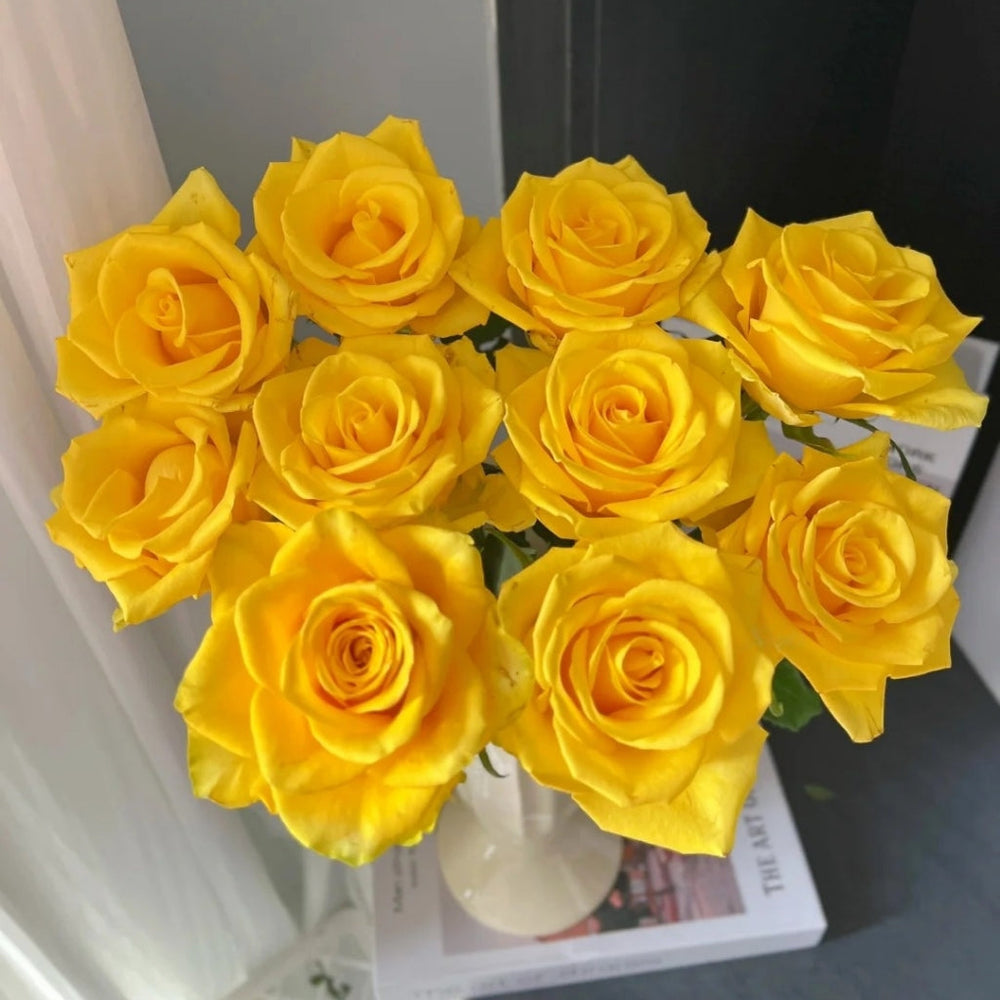 Zaoan Rose