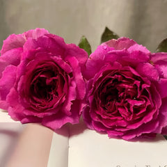 ZiRong Rose
