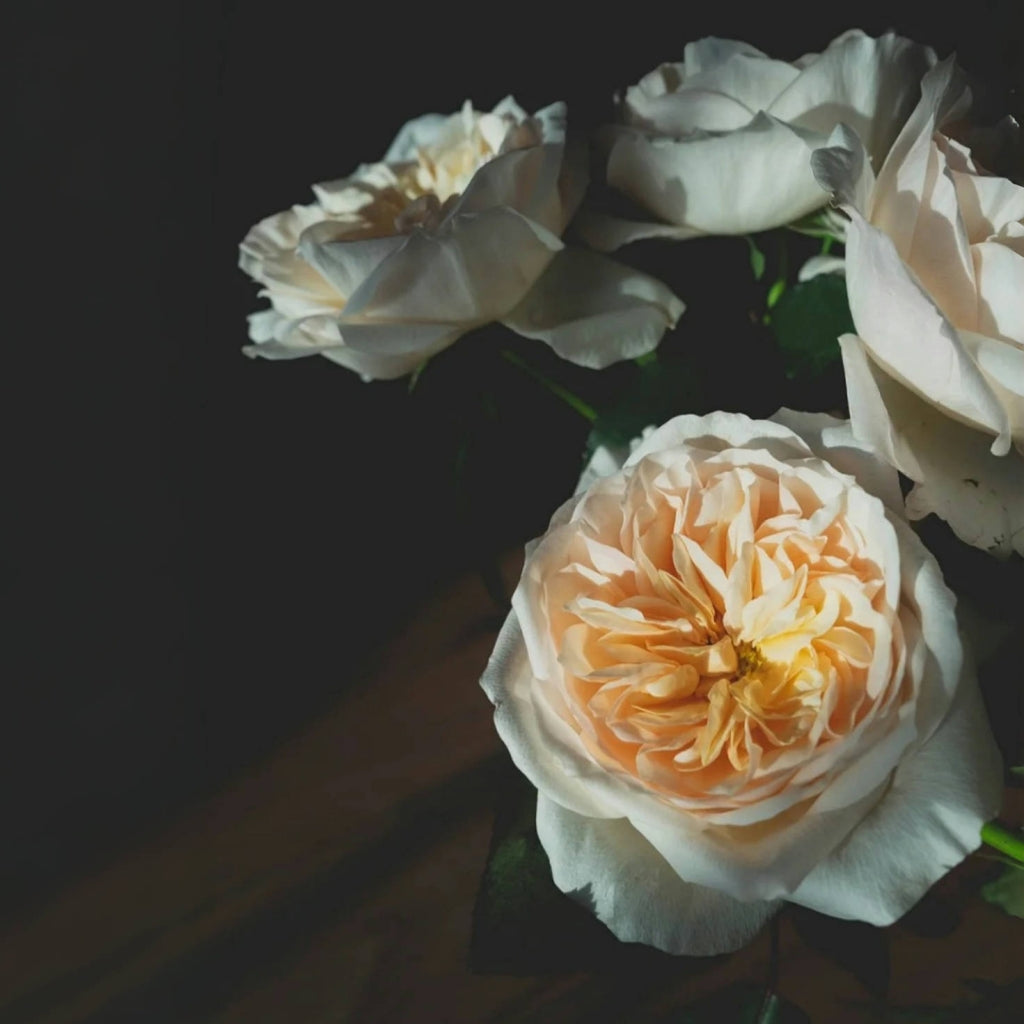 Bessie Rose