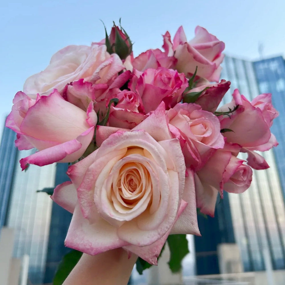 Amarena Rose