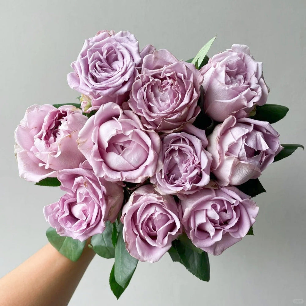 Amethyst Rose