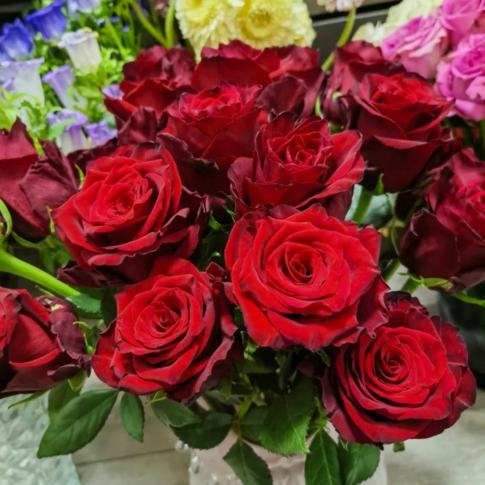 Anhong Rose
