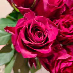 Anhong Rose