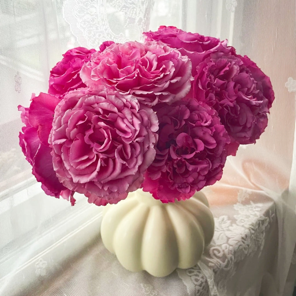 Aromatique Rose