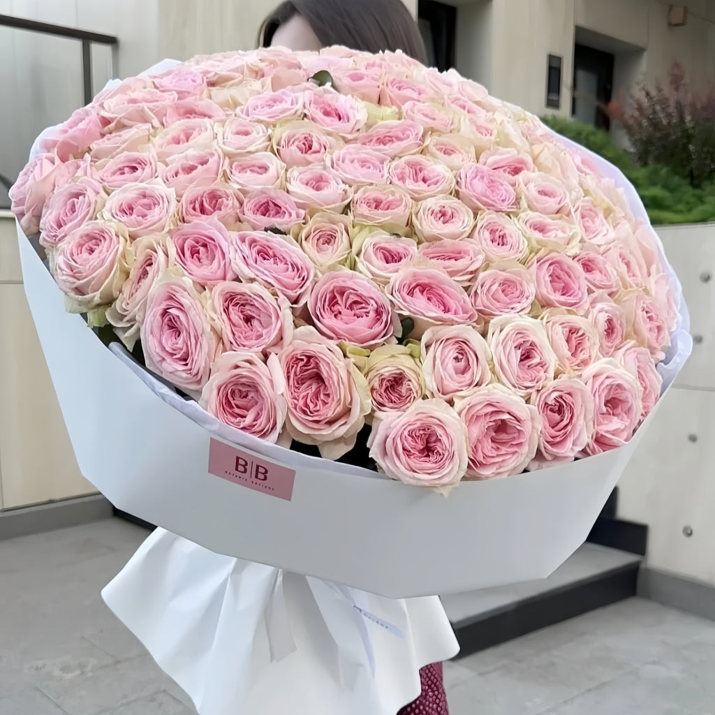 Ballerina Summerhouse Rose