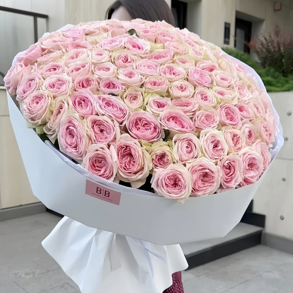 Ballerina Summerhouse Rose