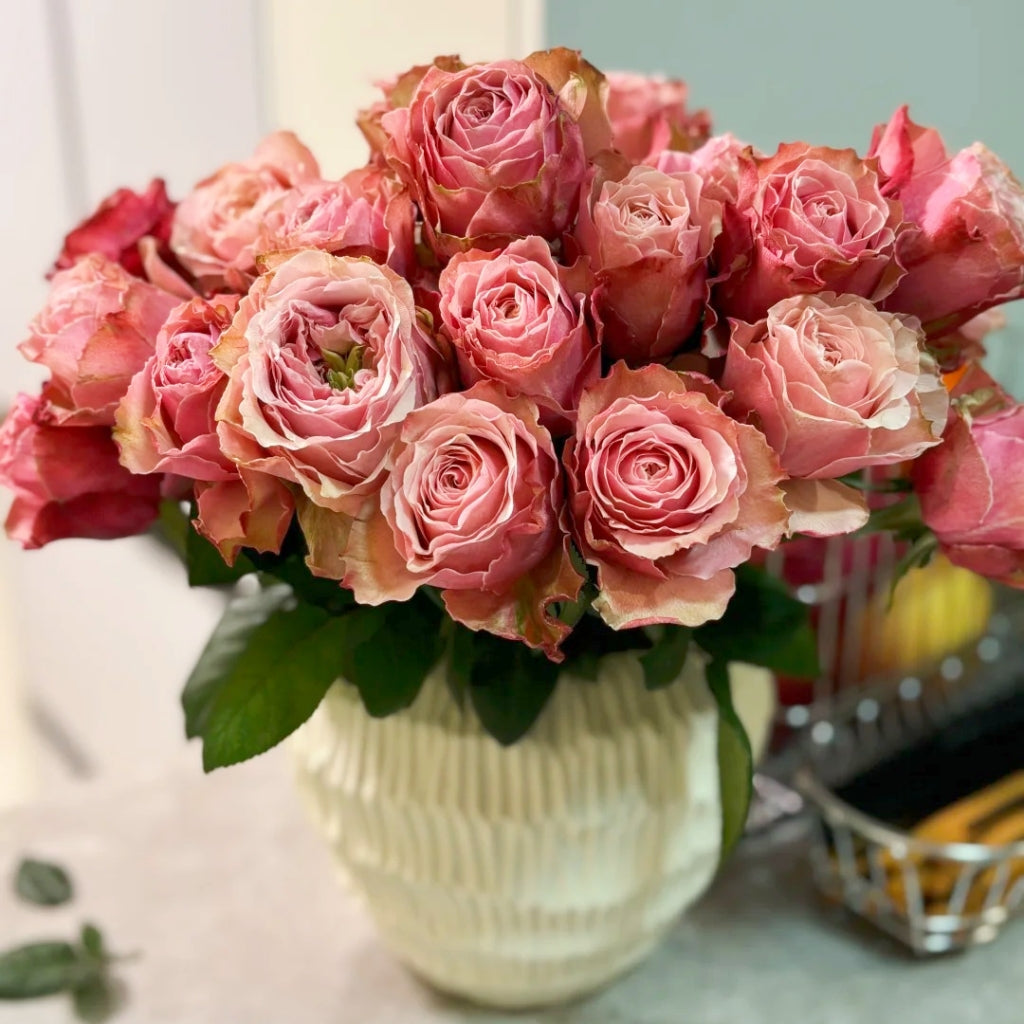 Belize Rose