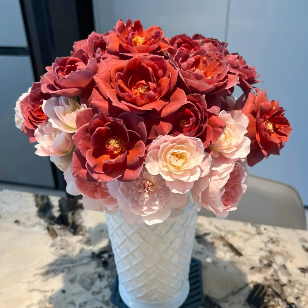 Black Tea Rose