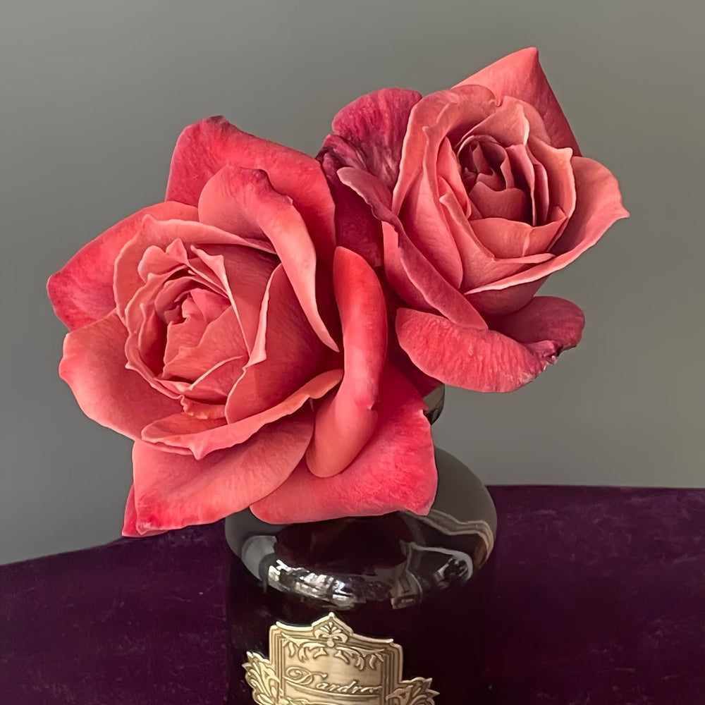 Black Tea Rose