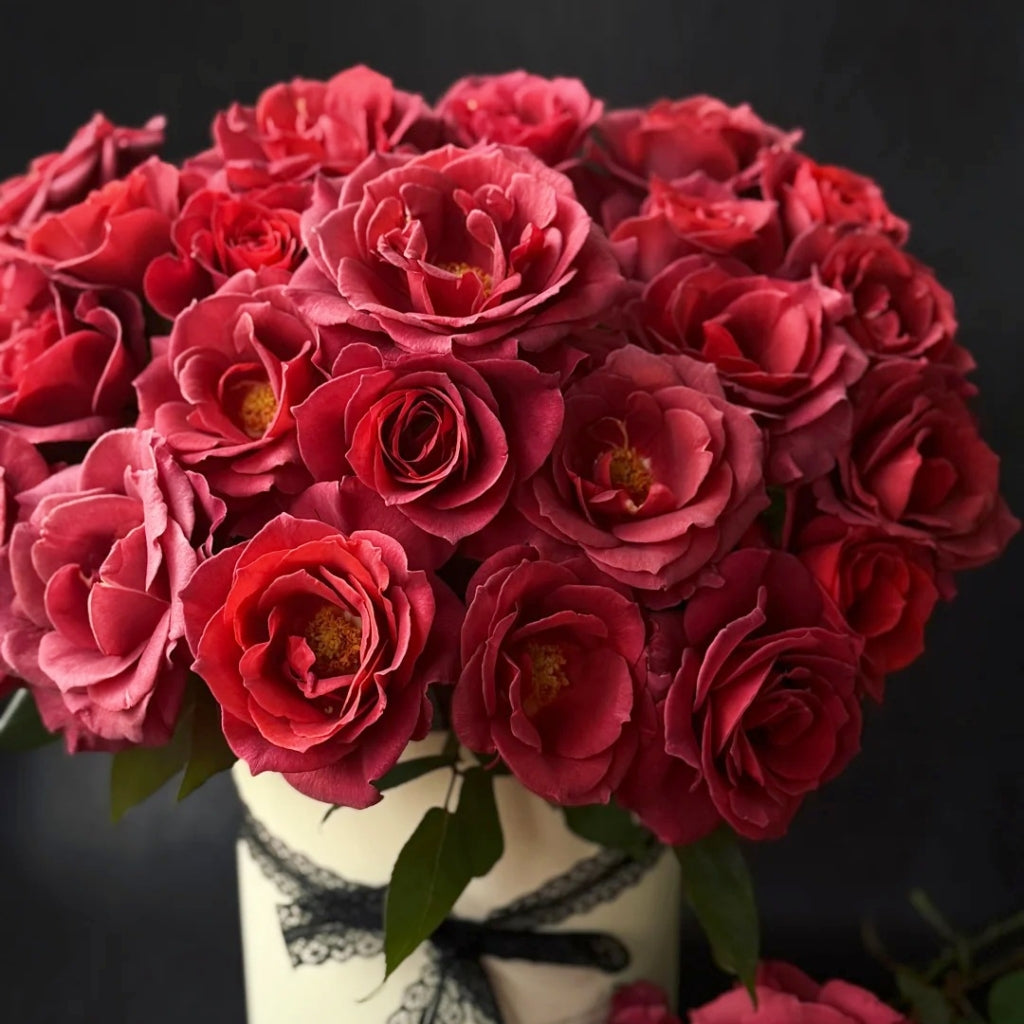 Black Tea Rose
