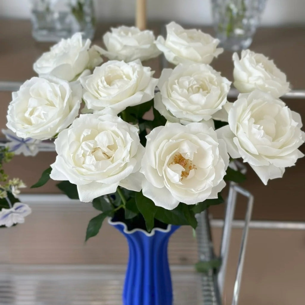 Bourgogne Rose