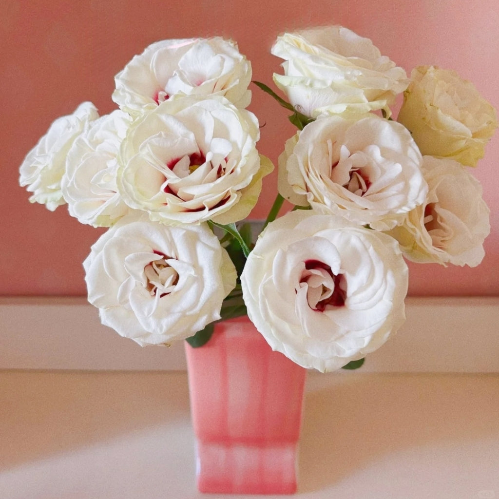Brideside Rose