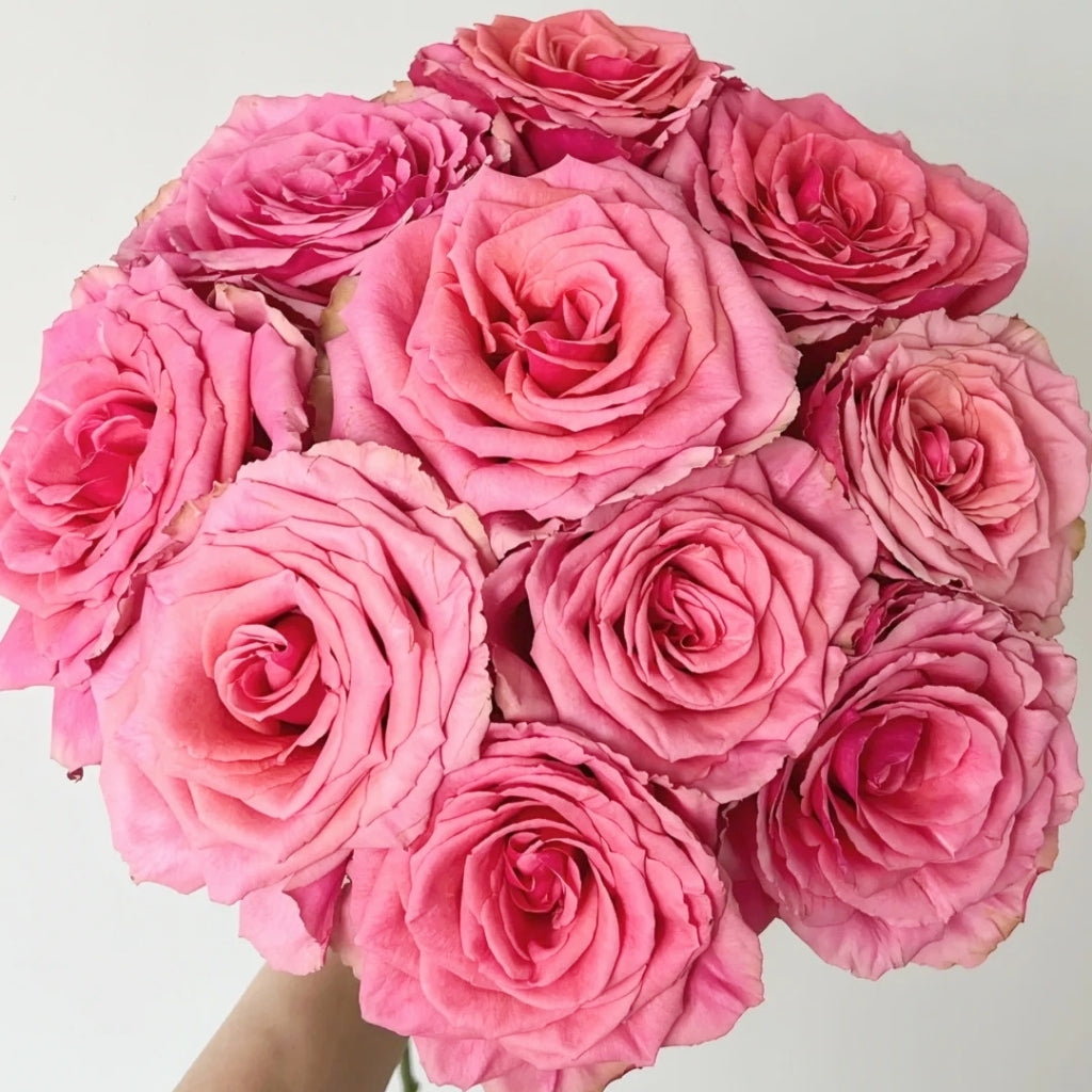 Bronze Perfume Rose