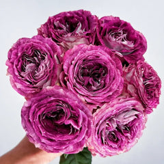 Brujas Rose
