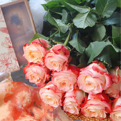 Cabaret Rose