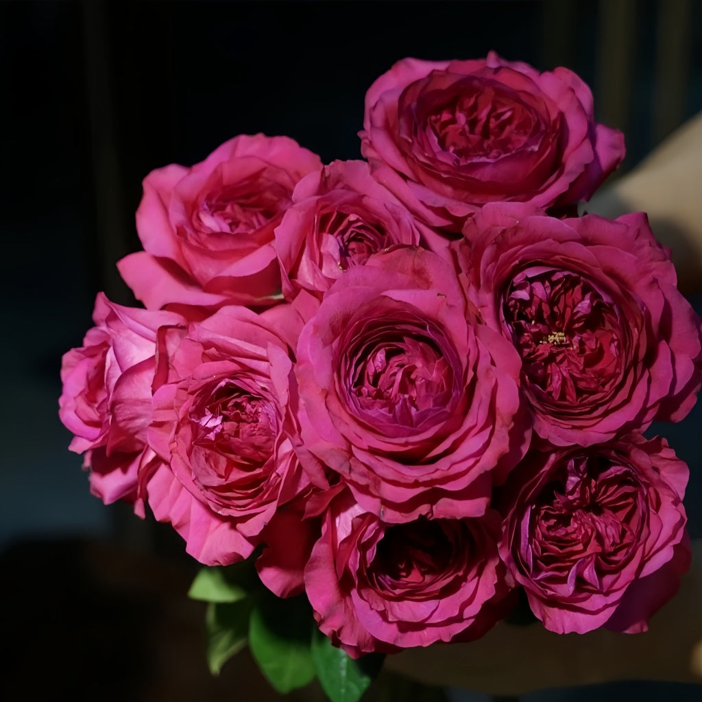 Capability Rose